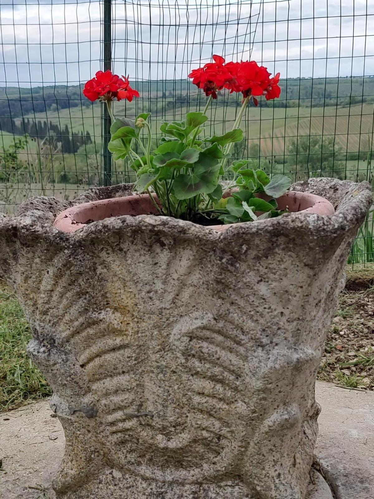 Апартаменти Il Giardino Del Chianti Сієна Екстер'єр фото