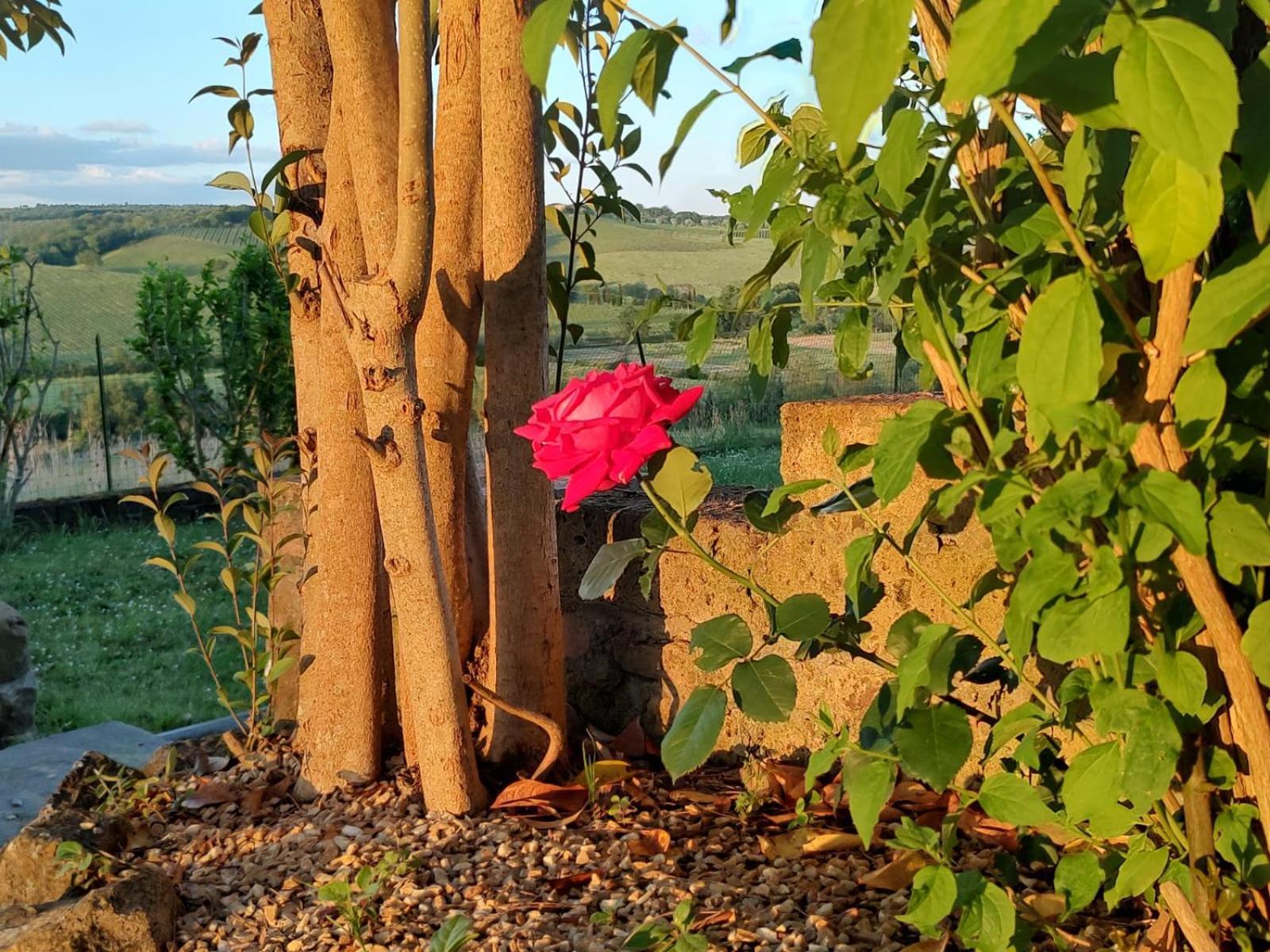 Апартаменти Il Giardino Del Chianti Сієна Екстер'єр фото
