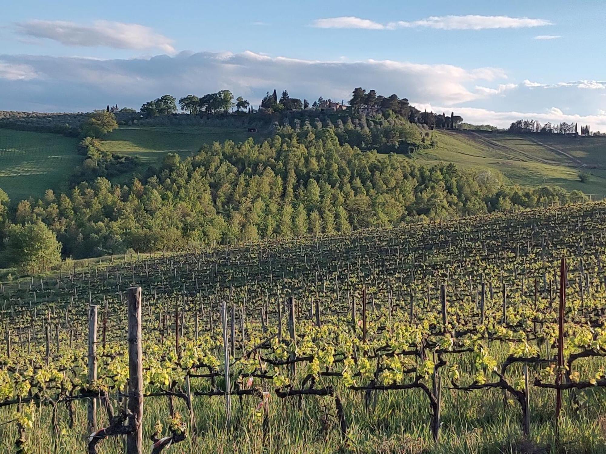 Апартаменти Il Giardino Del Chianti Сієна Екстер'єр фото